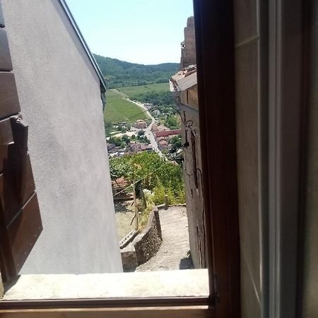 Rooms Serafin-Lavanda Motovun Zewnętrze zdjęcie