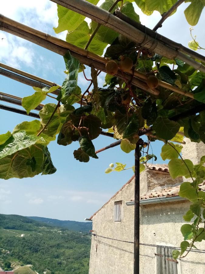 Rooms Serafin-Lavanda Motovun Zewnętrze zdjęcie