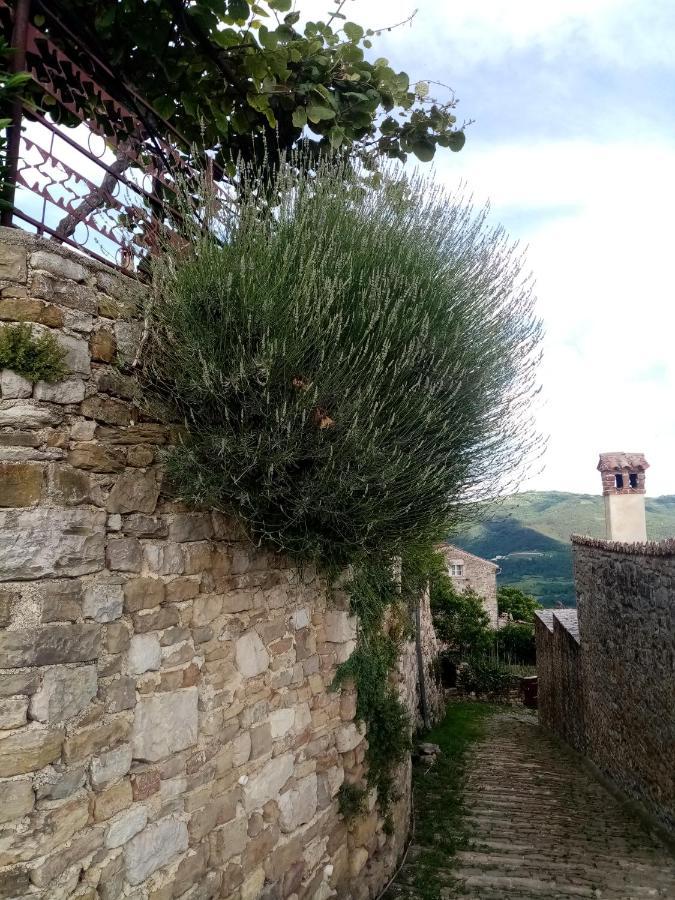 Rooms Serafin-Lavanda Motovun Zewnętrze zdjęcie
